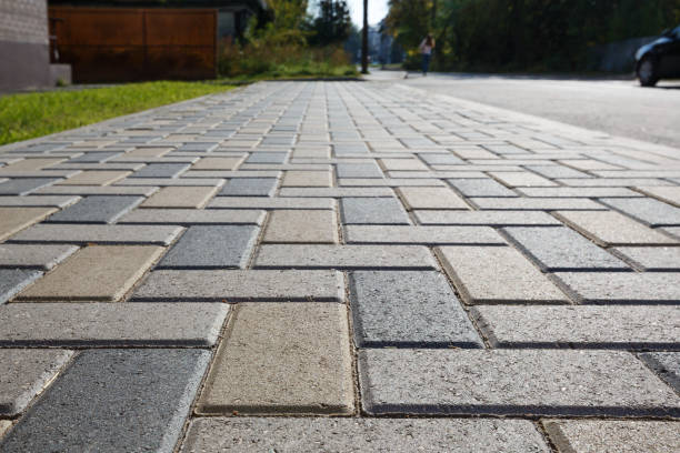 Best Local Driveway Pavers  in Oakland, SC